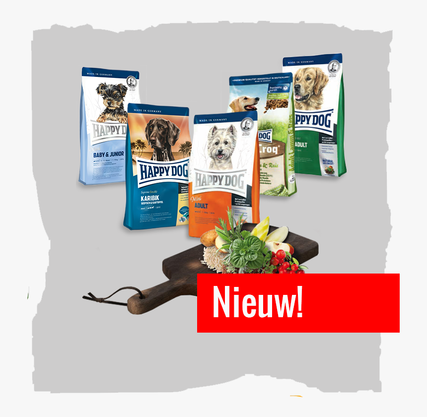 Transparent Happy Dog Png - Flyer, Png Download, Free Download
