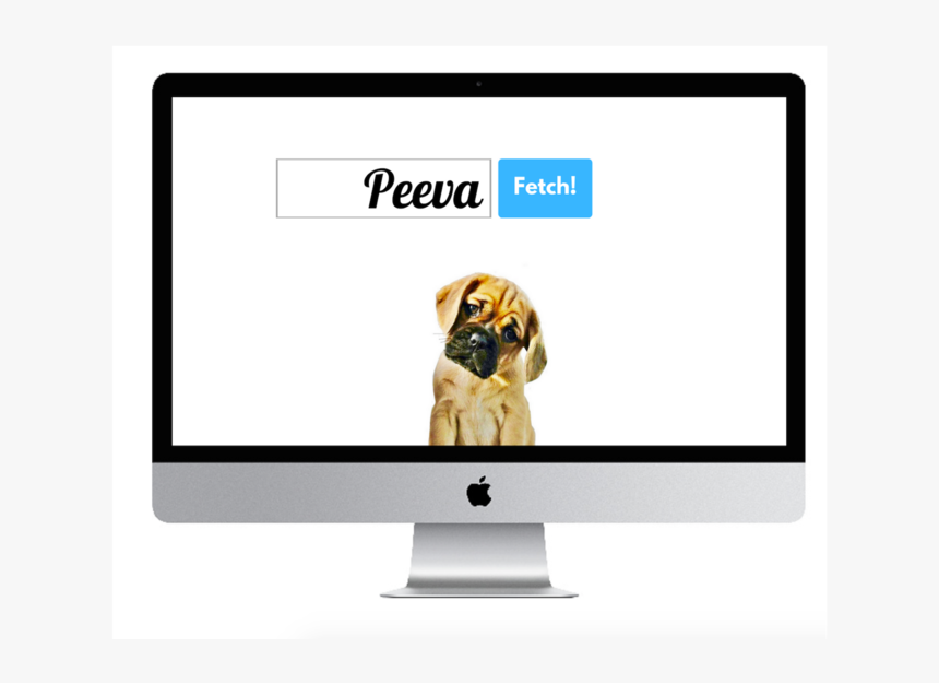 Peeva Fetch Central Pet Microchip Registry And Pet - Imac 27, HD Png Download, Free Download