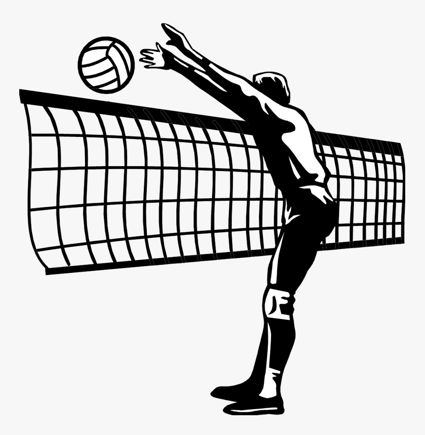 Florida Gators Women"s Volleyball A1 Ethniki Volleyball - Mens Volleyball Clipart Black And White, HD Png Download, Free Download
