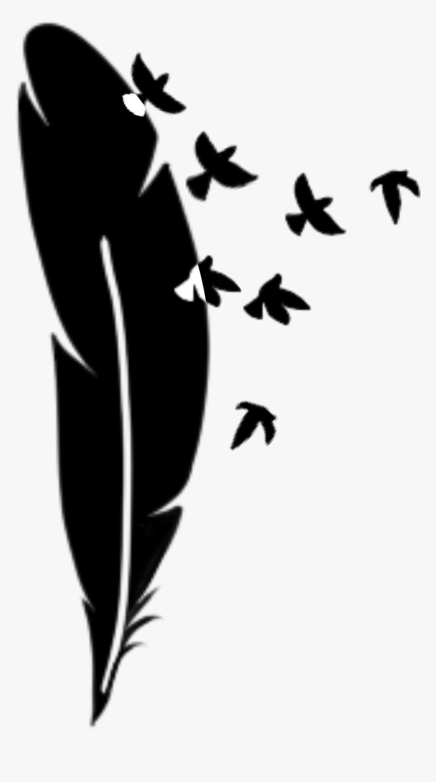 Feather And Birds Png, Transparent Png, Free Download