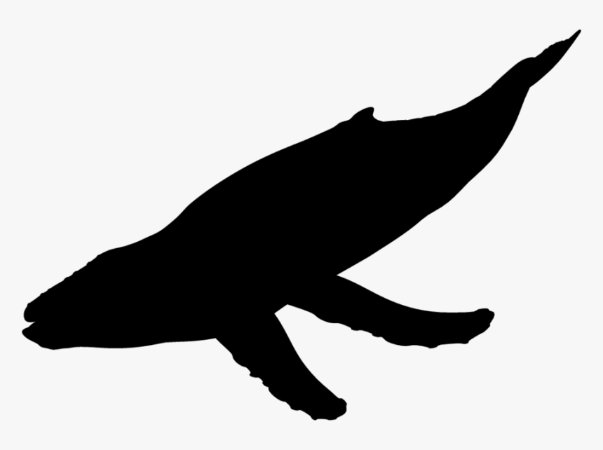 Unicorn Silhouette Head Png , Png Download - Silhouette Of Humpback Whale, Transparent Png, Free Download