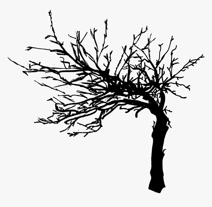 Tree Drawing Png, Transparent Png, Free Download