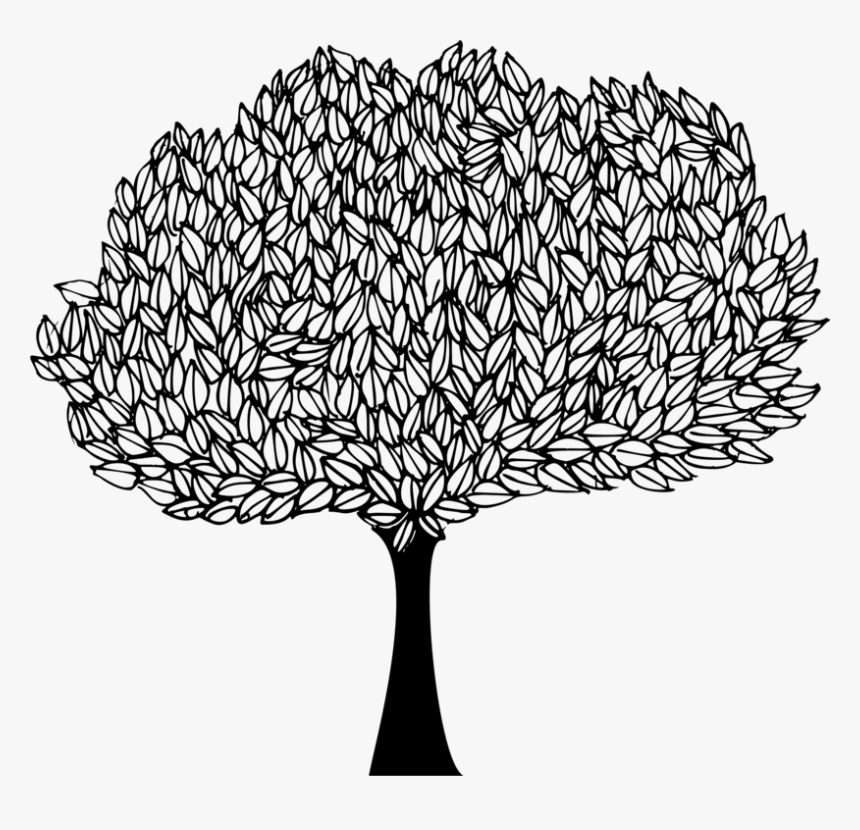 Fig Tree Drawing At Paintingvalley - Drawing Of Peepal Tree, HD Png Download, Free Download