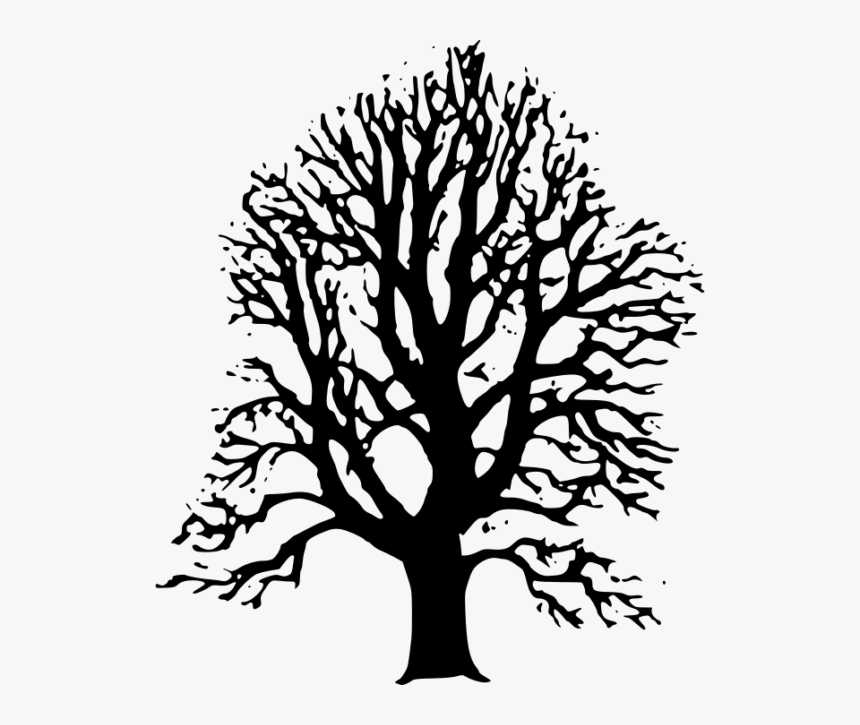 Transparent Tree Stump Clipart Black And White - Black Tree Drawing Png, Png Download, Free Download