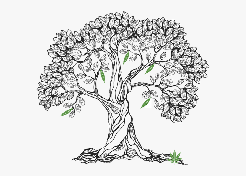 Drawing Buddha Tree - Draw A Bodhi Tree, HD Png Download, Free Download