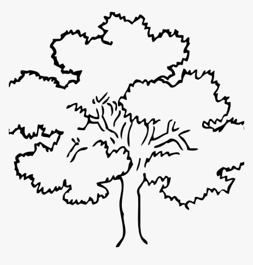 Tree Clipart Outline Oak Tree Clip Art At Clker Vector - Outline Pictures Of Tree, HD Png Download, Free Download