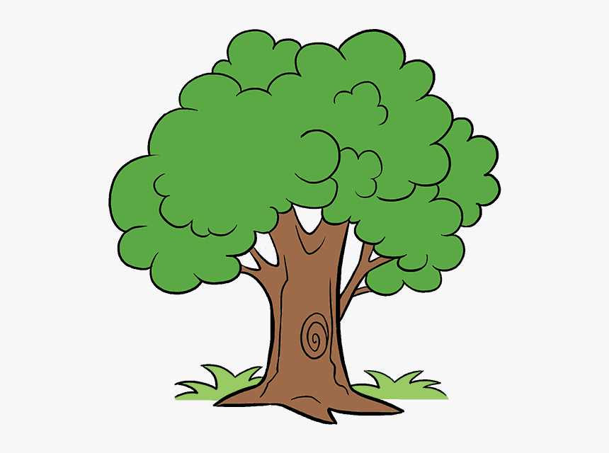How To Draw A Cartoon Tree - Cartoon Tree Drawing, HD Png Download, Free Download