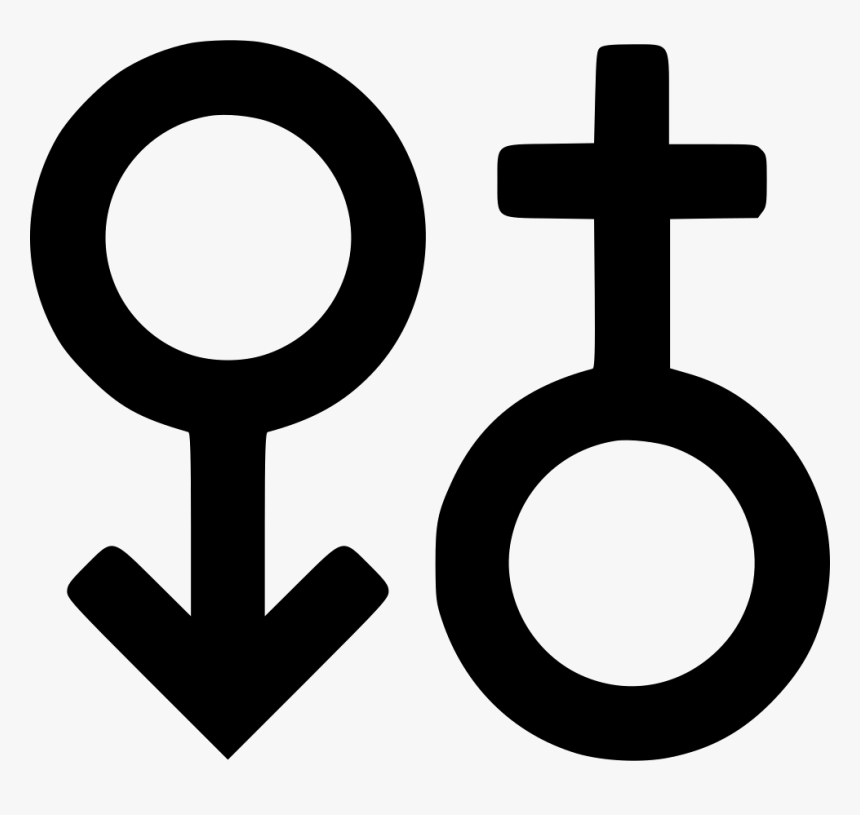 Free Sign Png - Male And Female Symbol Png, Transparent Png, Free Download