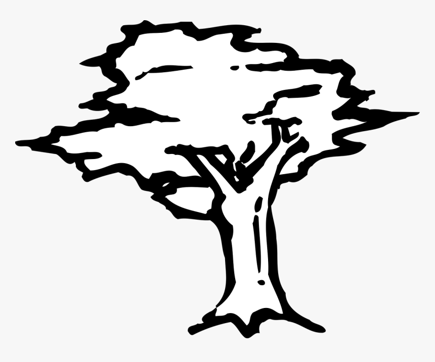 Dogwood Tree Drawing 28, Buy Clip Art - Stencil Swamp Trees, HD Png Download, Free Download