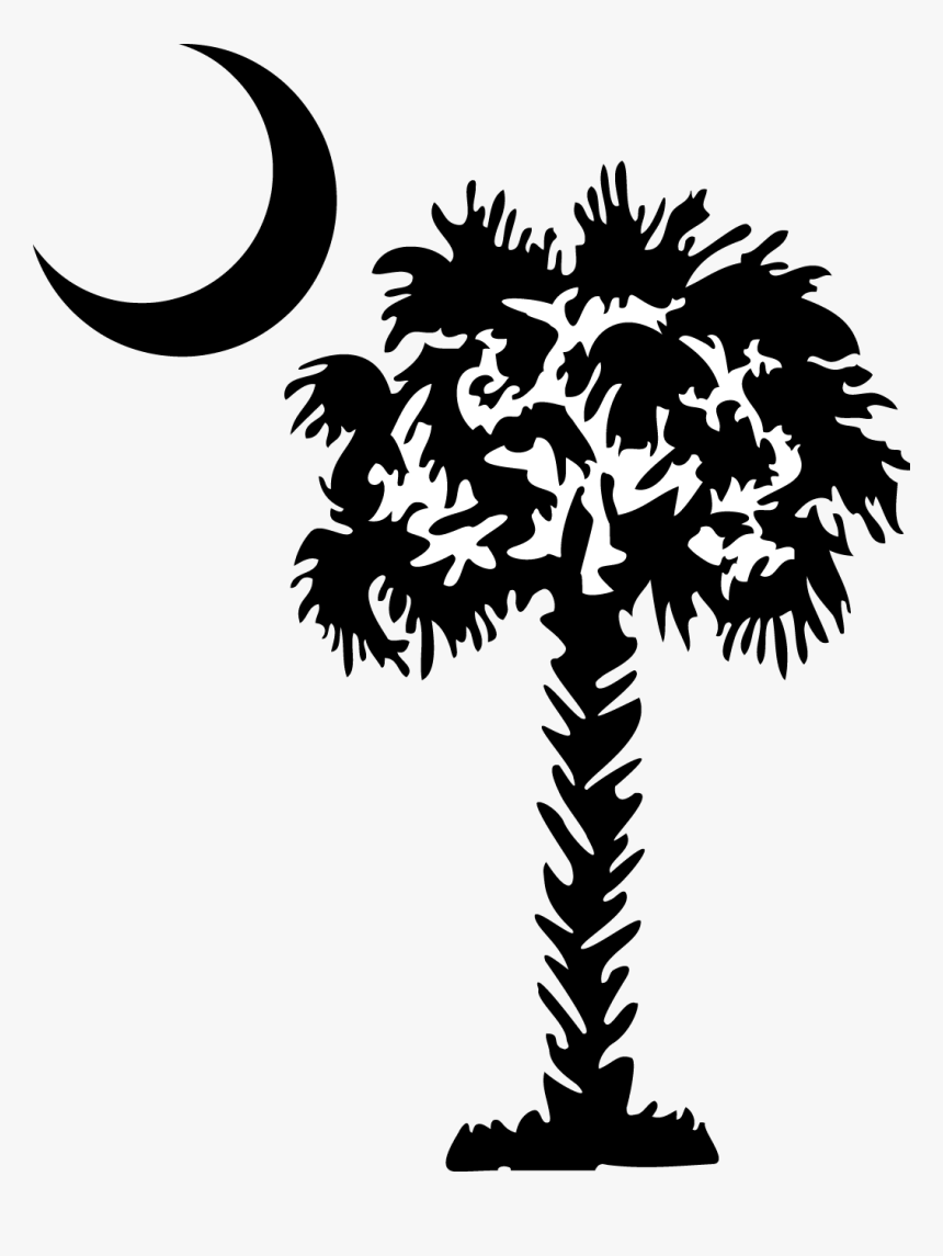28 Collection Of Palmetto Tree Clipart - Palmetto Tree Clip Art, HD Png Download, Free Download