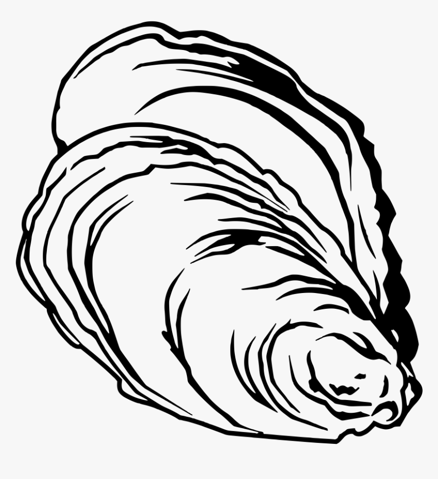 Oysters Drawing At Getdrawings - Oyster Clipart Black And White, HD Png Dow...