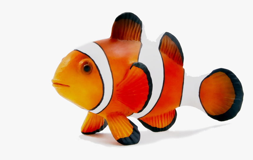 Zoomagazin Dog Illustration Cat Simba Bird Clipart - Coral Reef Fish, HD Png Download, Free Download