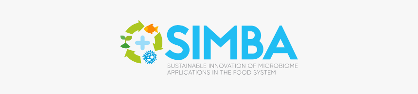 Simba Logo - Graphic Design, HD Png Download, Free Download