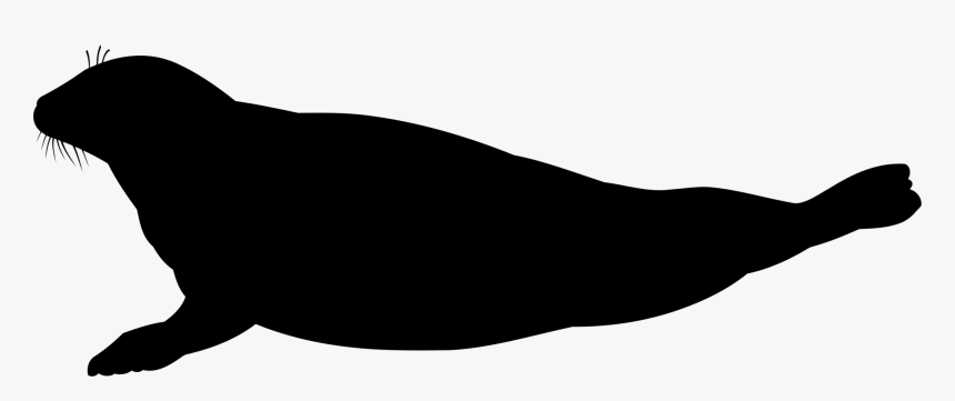 Photography - Seal Silhouette Vector, HD Png Download, Free Download