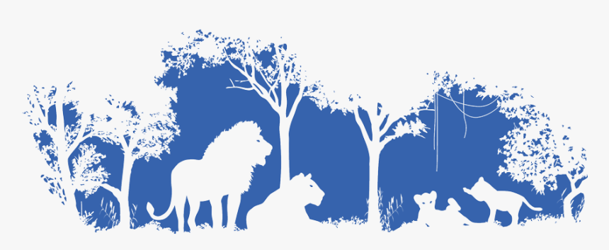 Lion Conservation Png, Transparent Png, Free Download