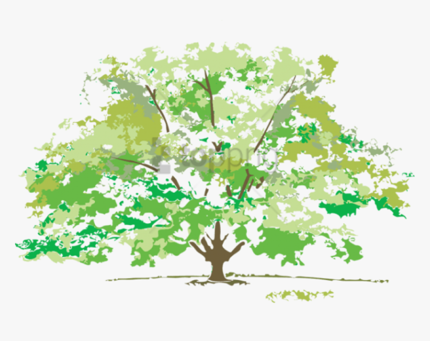 Free Png Spring Tree Png Png Image With Transparent - Psalm 1 Tree Of Life, Png Download, Free Download