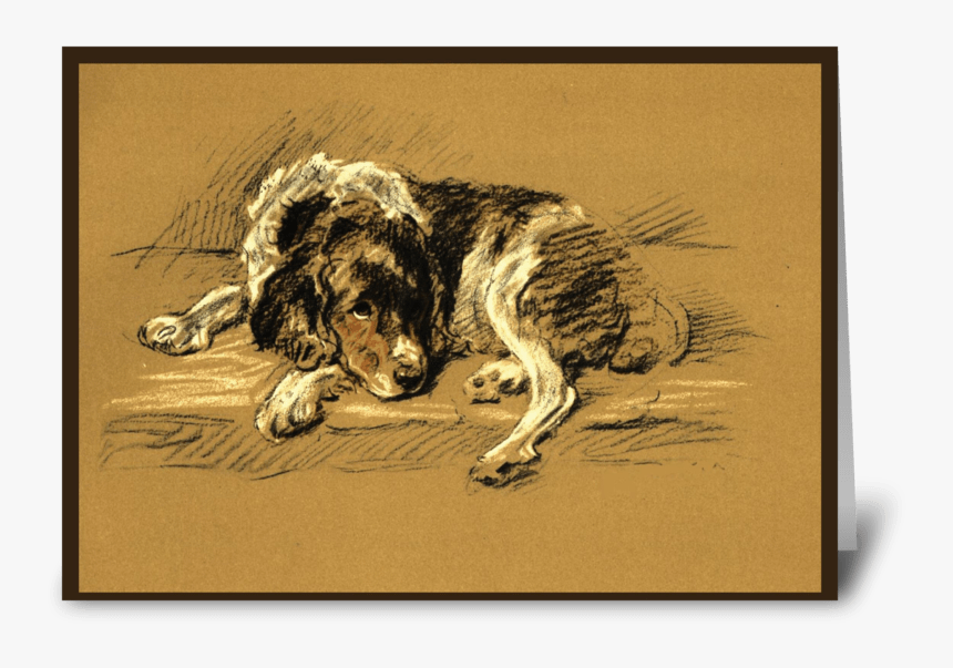 Sad, Dog Sympathy Greeting Card - Australian Shepherd, HD Png Download, Free Download