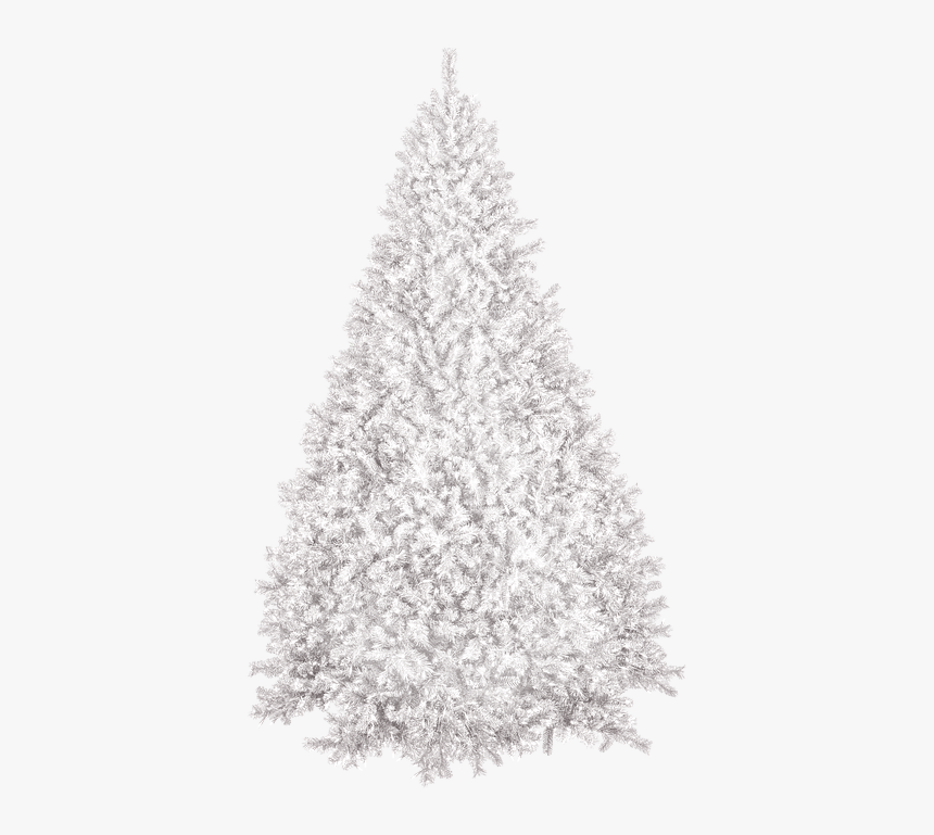 Christmas Tree, Winter, New Year"s Eve, Christmas, - White Christmas Tree Png, Transparent Png, Free Download