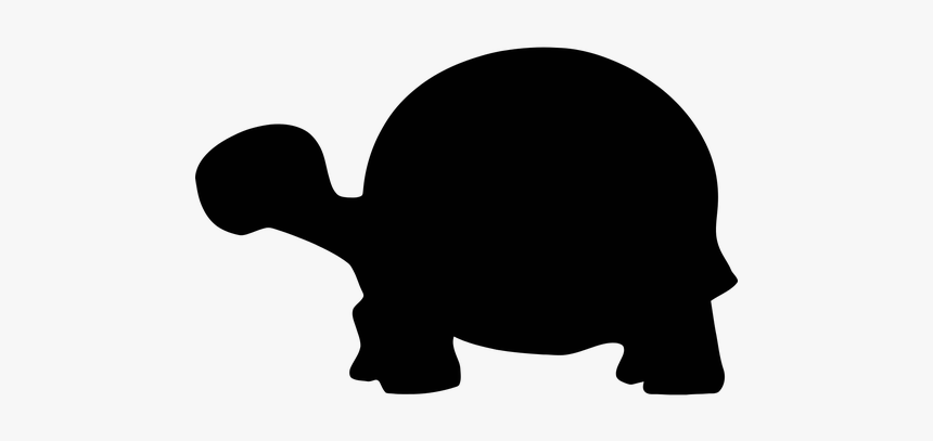 Turtle Sign, HD Png Download, Free Download