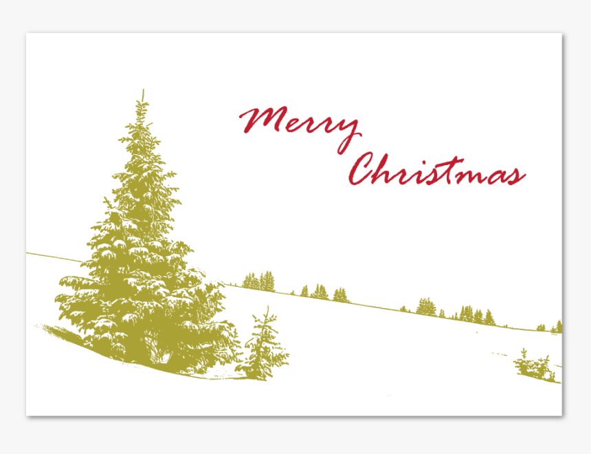 Tree In Show Holiday Greeting - Christmas Tree, HD Png Download, Free Download
