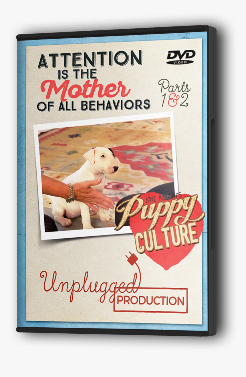 Attention Is The Mother Of All Behaviors, HD Png Download, Free Download