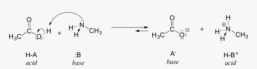 Reaction Of Acetic Acid And Methanamine, HD Png Download, Free Download