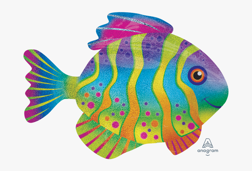 Colorful Images Of Fish, HD Png Download, Free Download