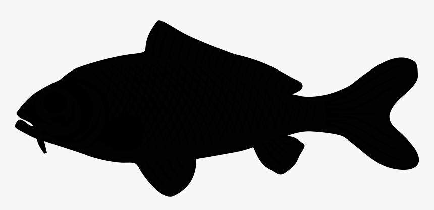 Marine Mammal Black & White - Siluet Ikan Laut, HD Png Download, Free Download