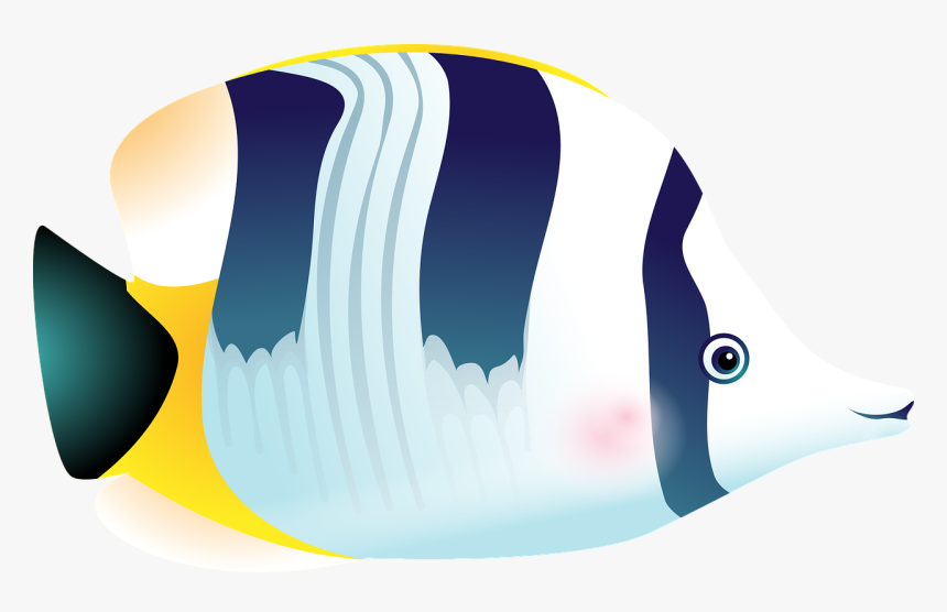 Aquarium, HD Png Download, Free Download
