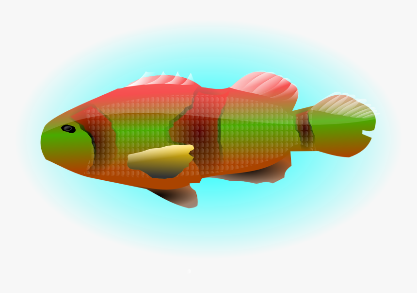 Organism,fish,green - Clip Art, HD Png Download, Free Download