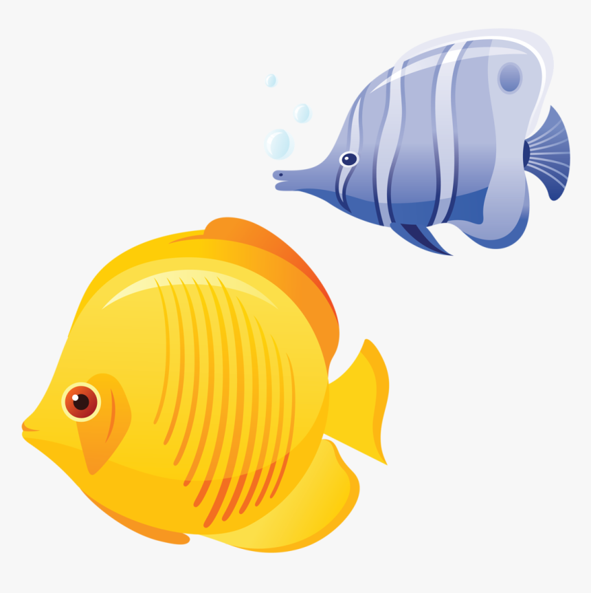 Transparent Tropical Fish Png - Tropical Fish Clip Art, Png Download, Free Download