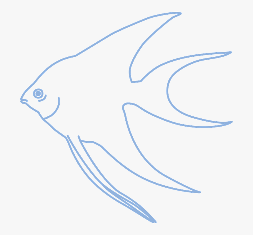 Simple, Angelfish, Tropical Fish, Fish - Ryby Kreslene Obrazky Cernobile, HD Png Download, Free Download