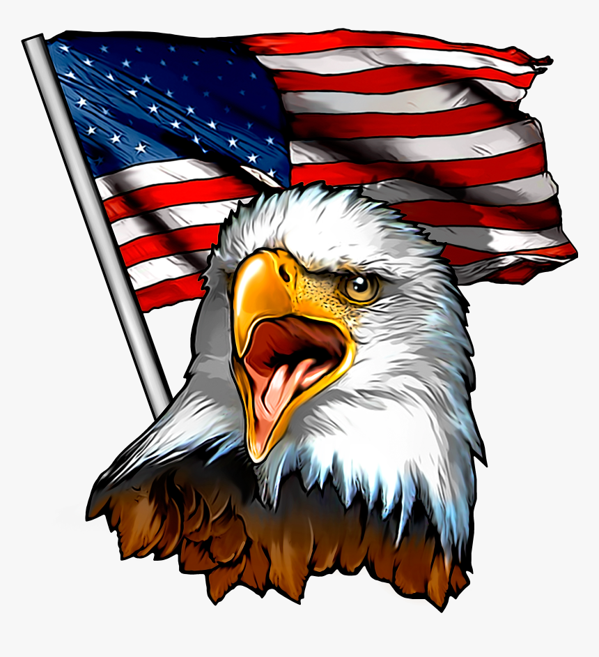 Transparent Fabric Clipart - Eagle Usa American Flag, HD Png Download, Free Download