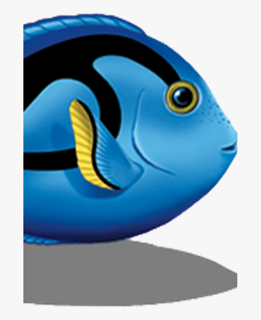 Blue Tang Fish Clipart, HD Png Download, Free Download