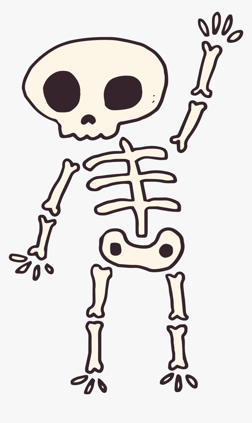 Collection Of Free Skeleton Transparent Cartoon, HD Png Download, Free Download