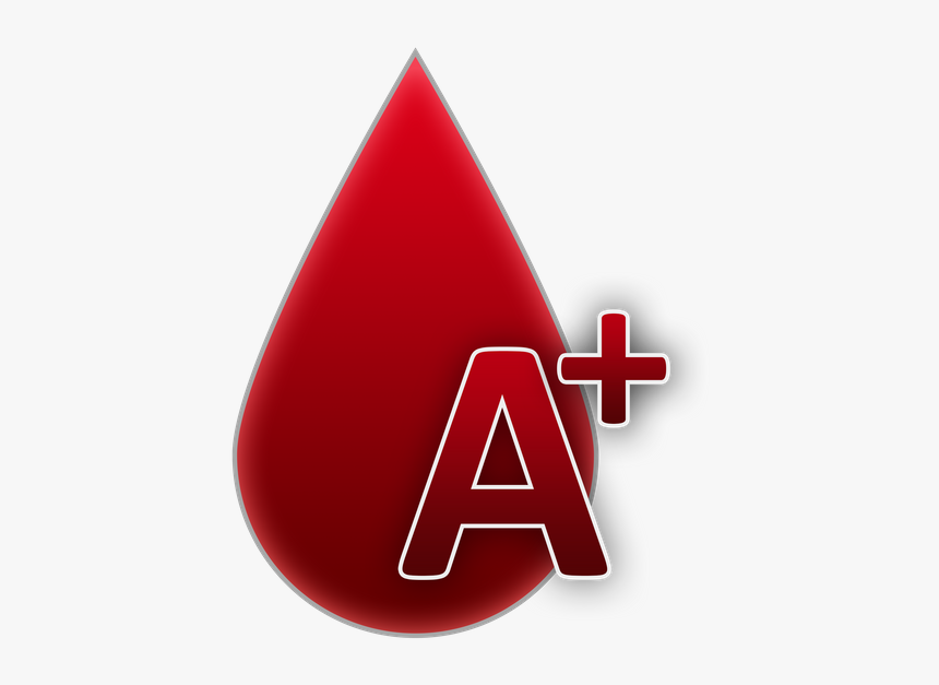 Blood Group, Blood, And, Rh, A Positive Rh Factor - Tipo Sanguineo A Positivo, HD Png Download, Free Download