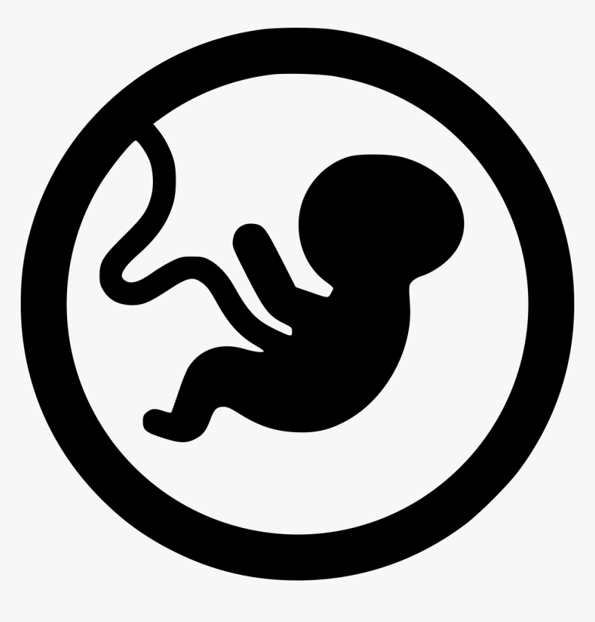 Free Download Embryo Transparent Clipart Embryo Fetus - Embryo Png, Png Download, Free Download
