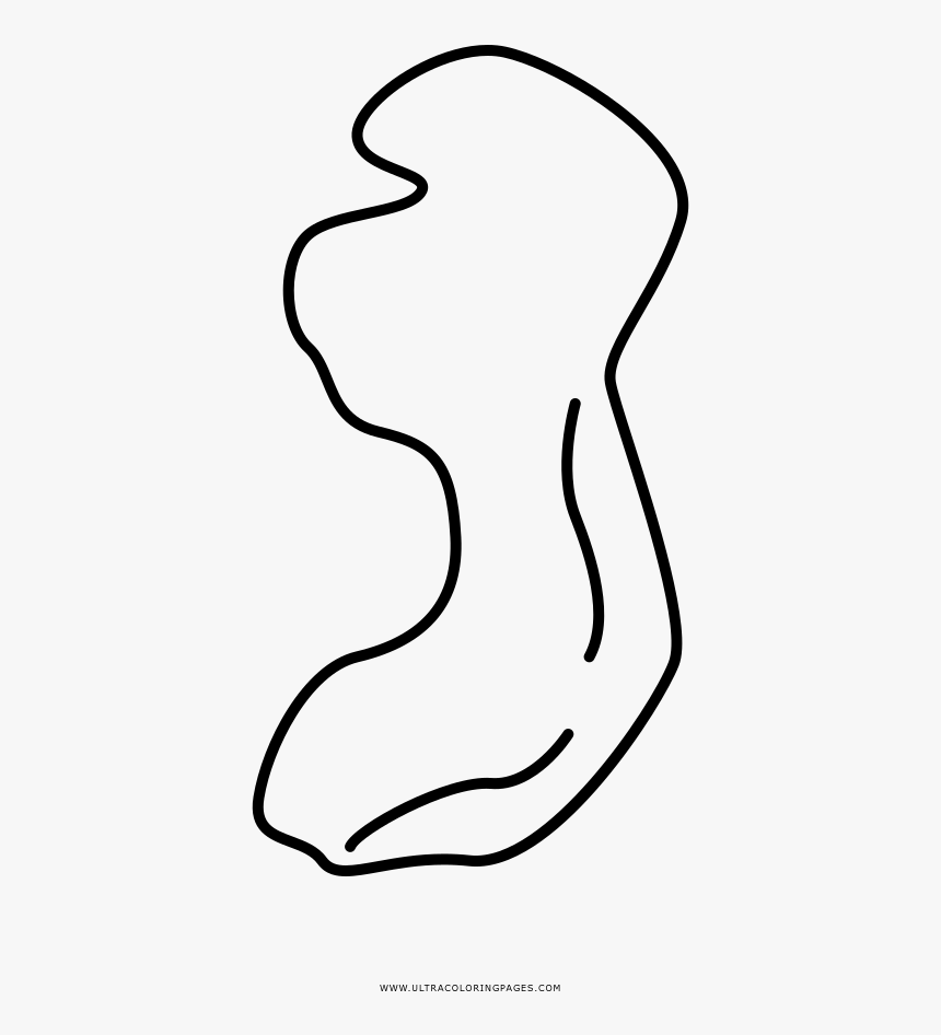 Fetus Coloring Page - Line Art, HD Png Download, Free Download