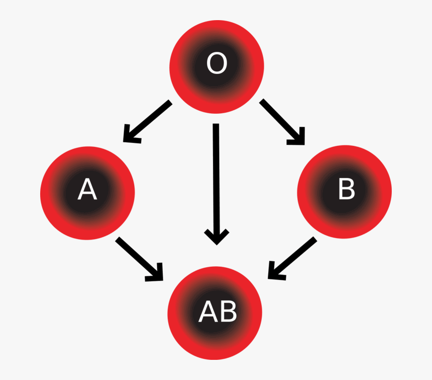 Blood Types, HD Png Download, Free Download