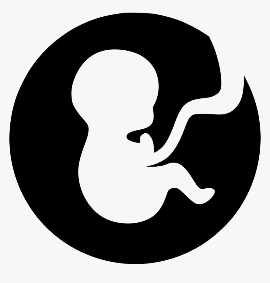 Obstetrics & Gynaecology Icon, HD Png Download, Free Download