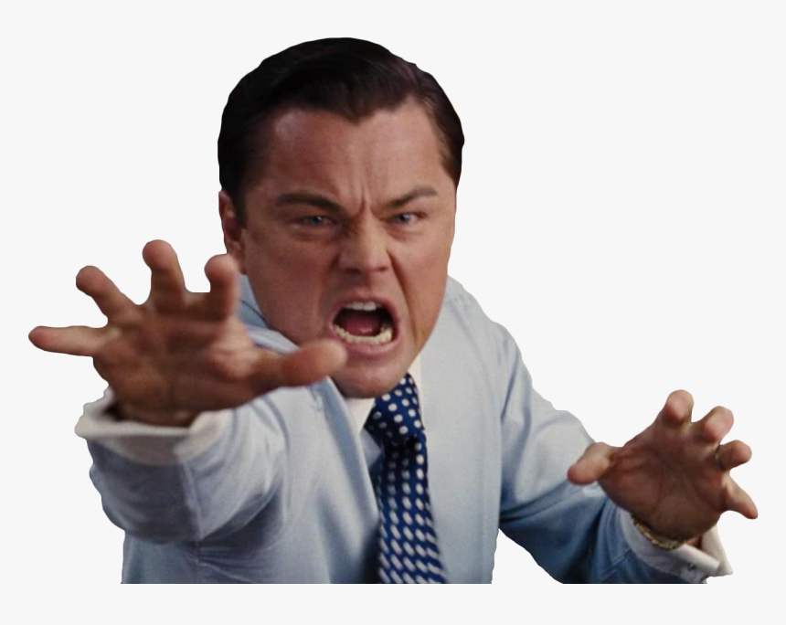 Transparent Leonardo Dicaprio Png - Wolf Of Wall Street Crazy, Png Download, Free Download