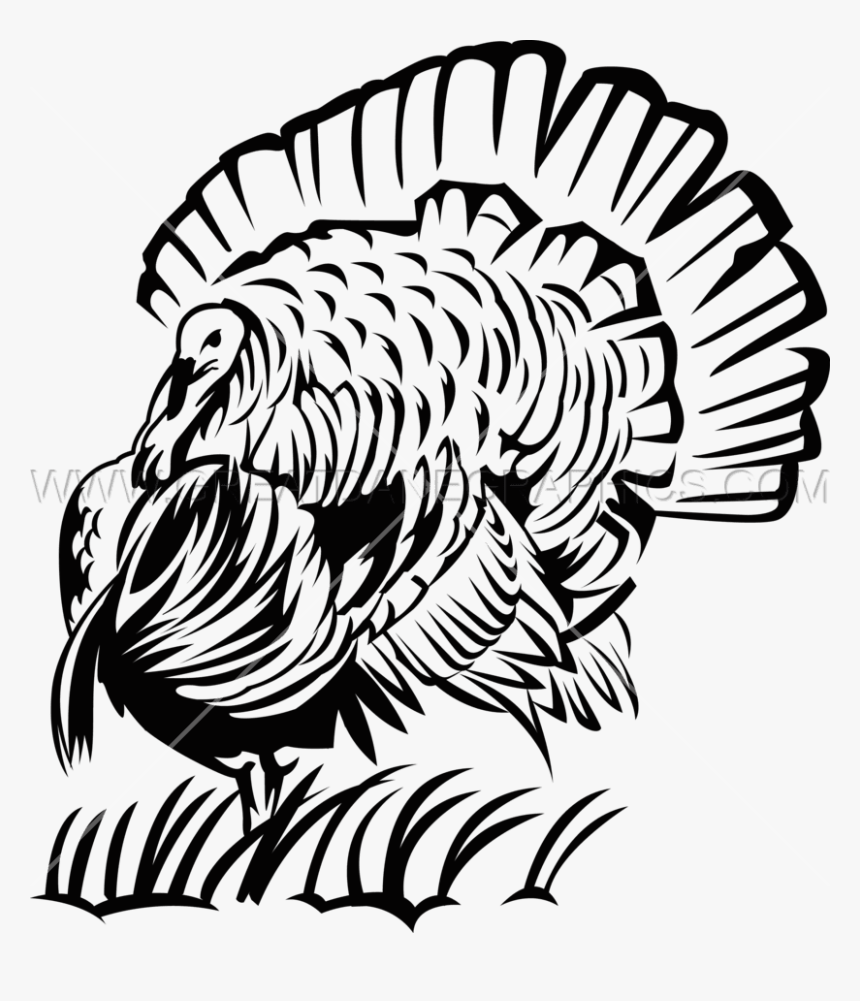 Turkey Drawing Cooked A Body Food Cute Books - Turkey Head Pics Drawing, HD Png Download, Free Download