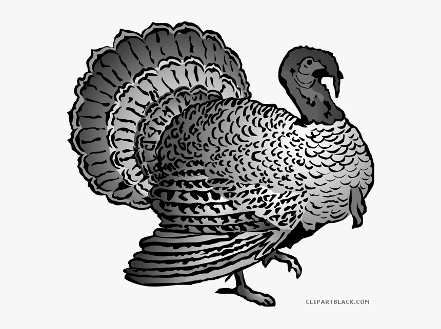 Clipartblack Com Animal Free - Thanksgiving Turkey Clipart Free, HD Png Download, Free Download
