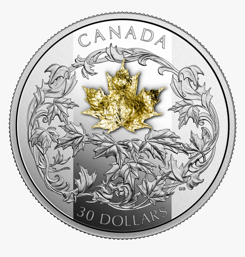 Picture Of 2019 1 Oz Canadian Silver Maple Leaf - 2019 Canadian Silver Maple Leaf, HD Png Download, Free Download