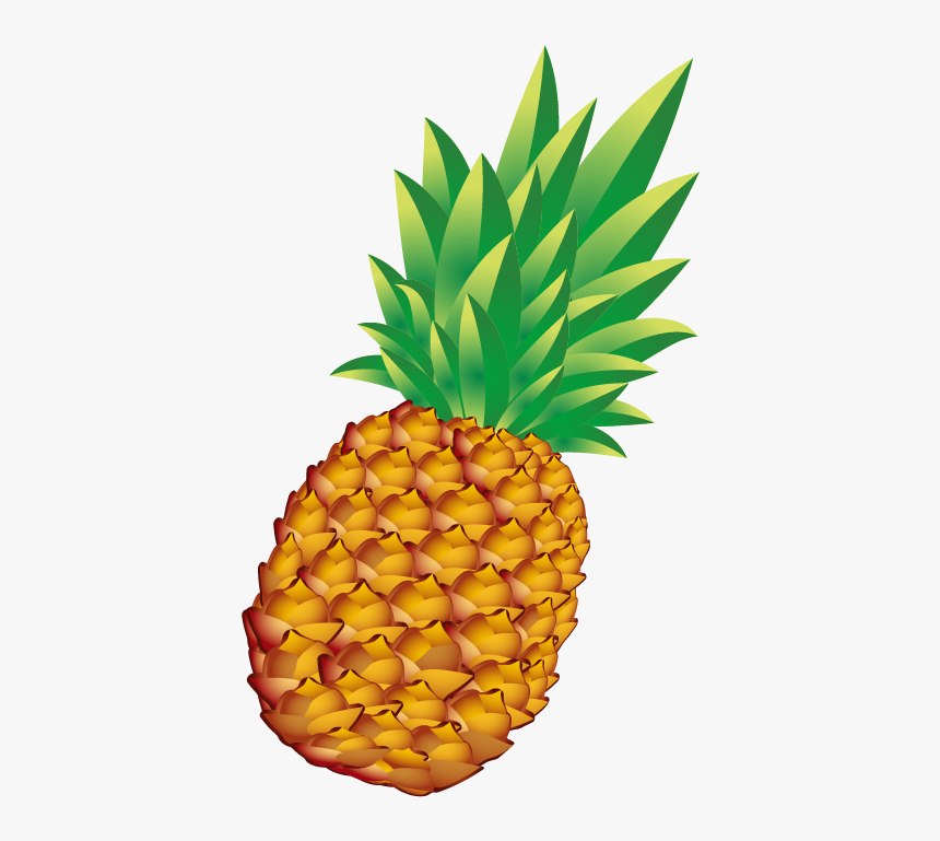 Pineapple Bun Euclidean Vector - Pineapple Png, Transparent Png, Free Download