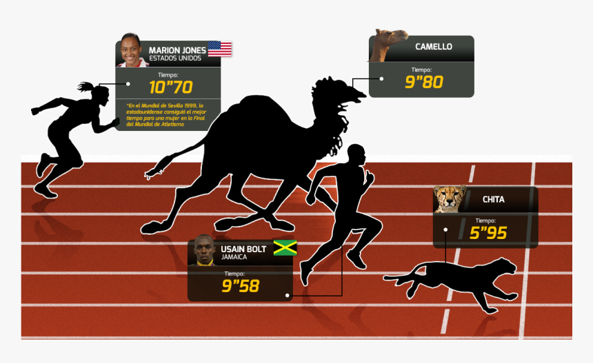 En El Reino Animal, Usain Bolt No Podría Ser El Más - Arabian Camel, HD Png Download, Free Download