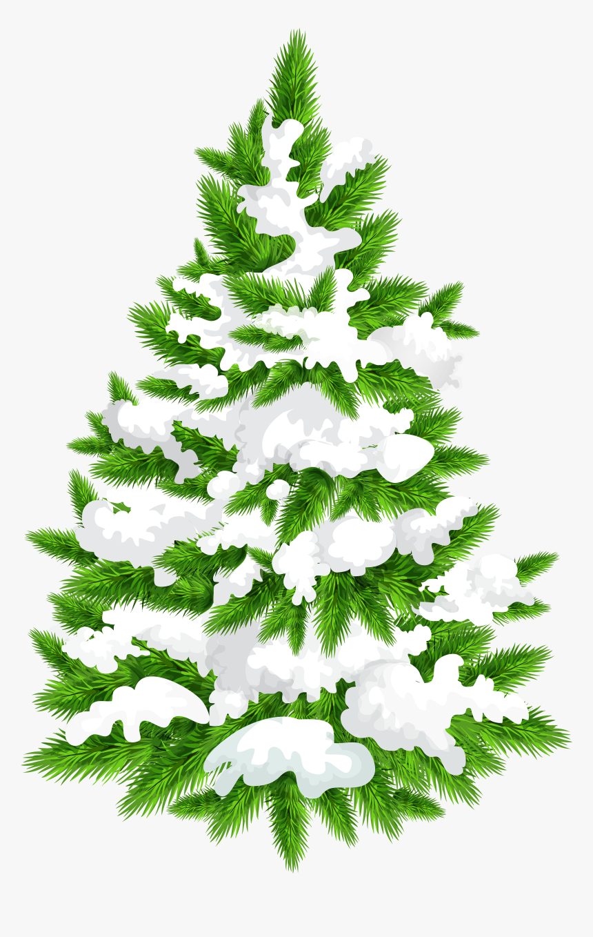 Transparent Christmas Tree Png, Png Download, Free Download