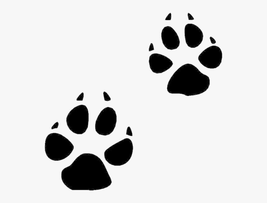 Paw Print Cat Clip Art Freeuse Library Huge Freebie - Animal Tracks Png, Transparent Png, Free Download