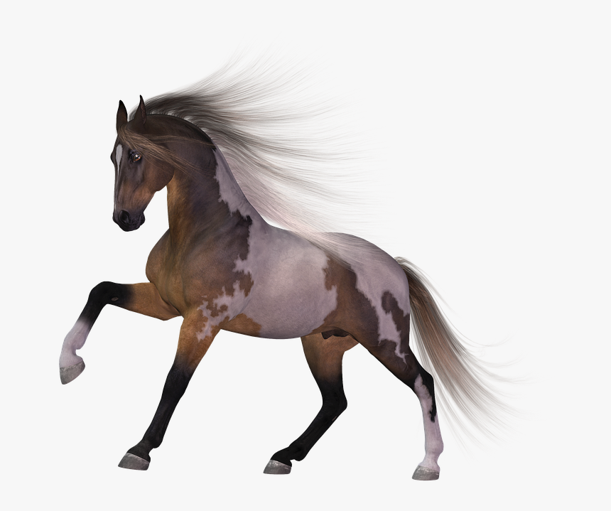 Download Horse Png Transparent Images Transparent Backgrounds, Png Download, Free Download