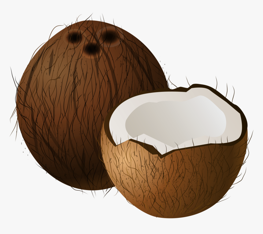 Coconuts Png Clip Art - Transparent Transparent Background Coconut Clipart, Png Download, Free Download